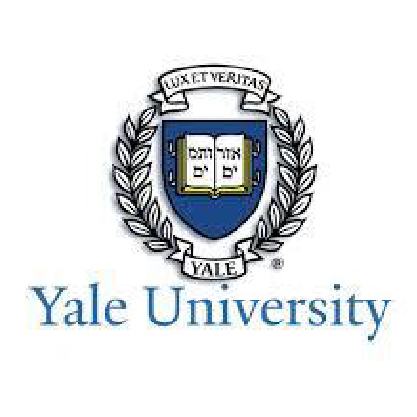 睿科网站LOGO整理_画板 1 副本 11